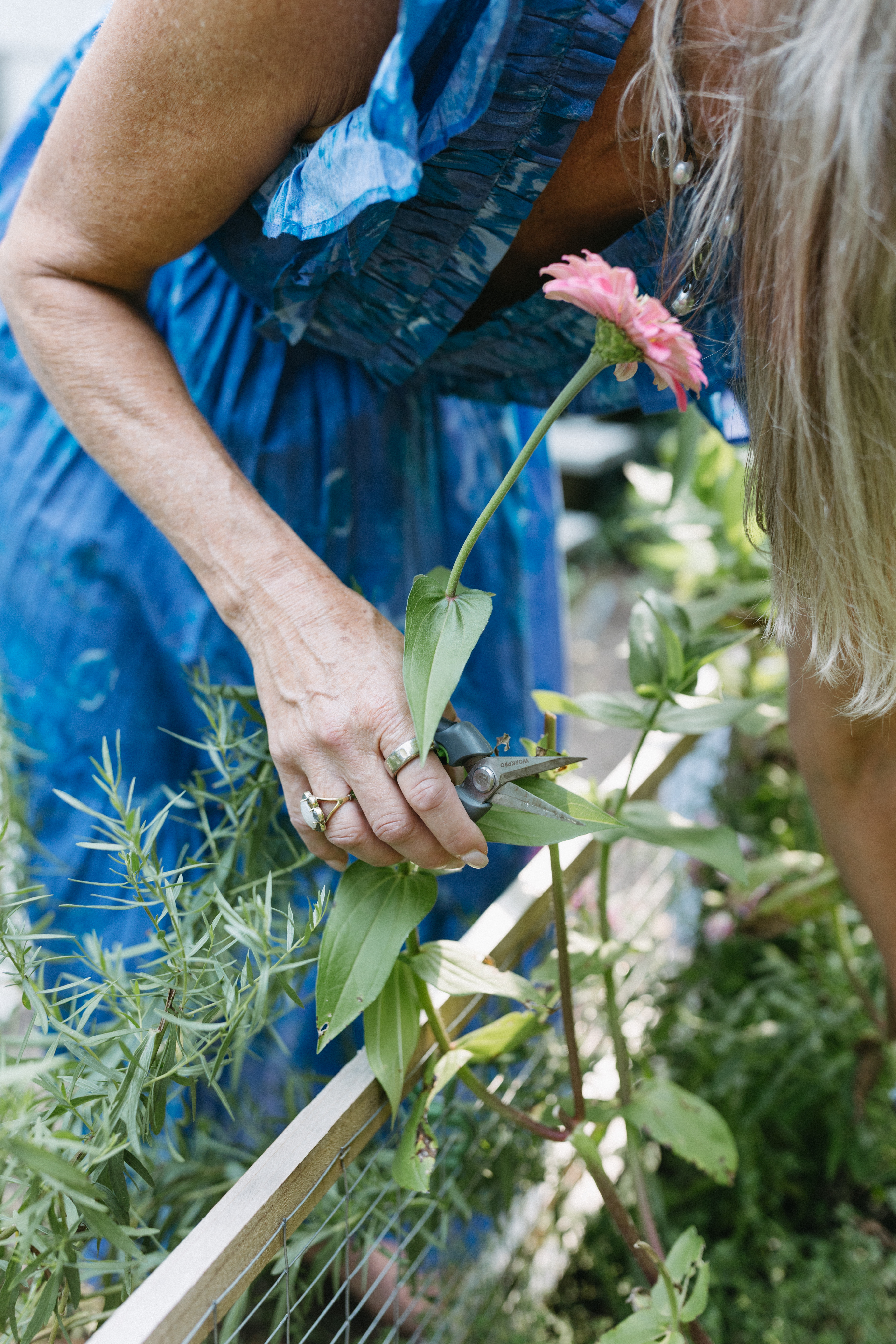 Divorce Coach Lyerly Spongberg gardening, representing growth and renewal through divorce coaching.
